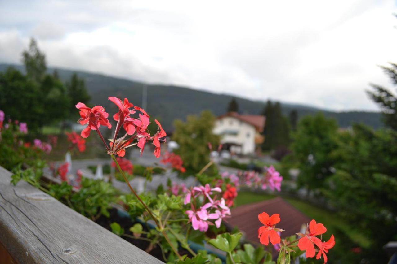 Gasthof Zum Gruenen Baum Verano Ngoại thất bức ảnh