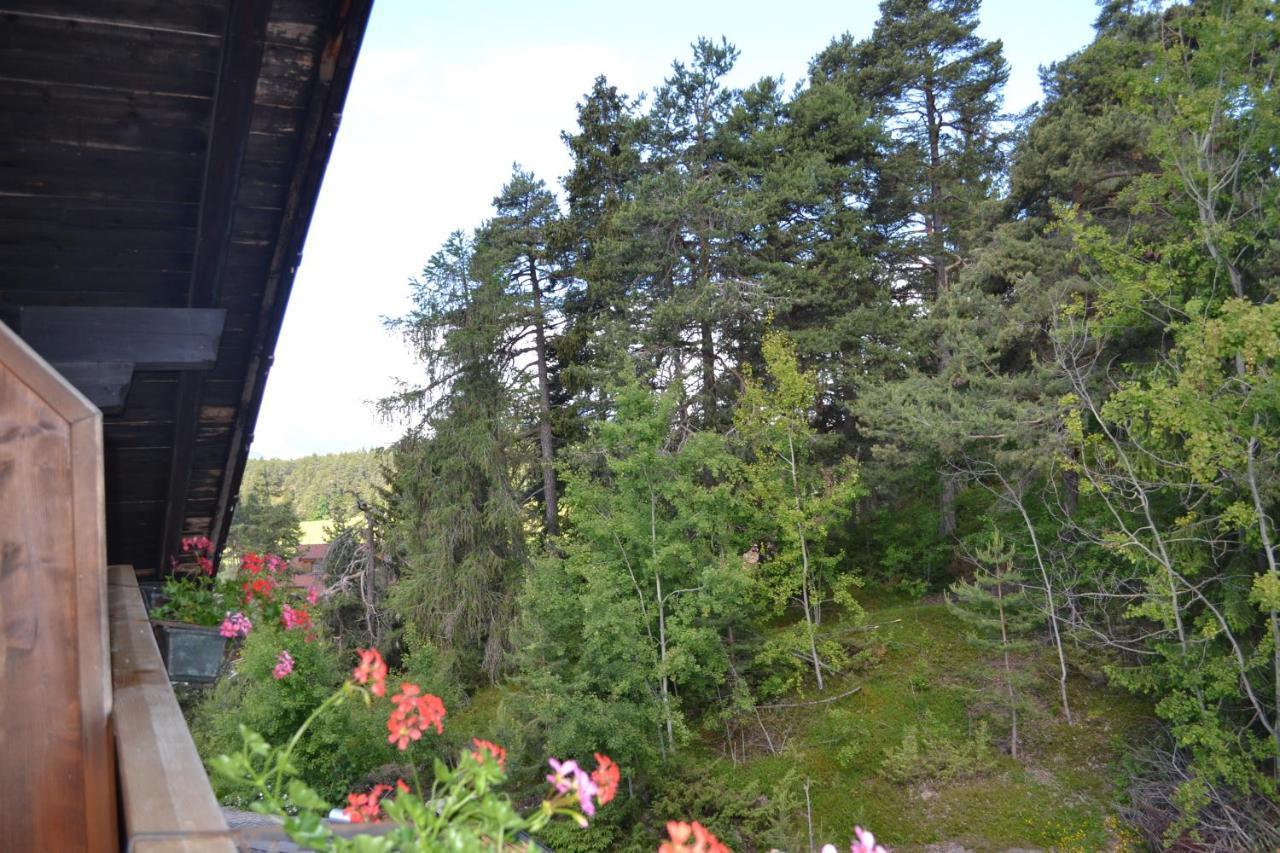 Gasthof Zum Gruenen Baum Verano Ngoại thất bức ảnh
